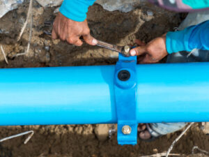 iStock 1251141210 497x373 1