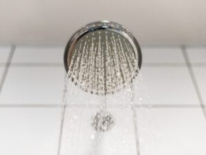 shower head 497x373 1